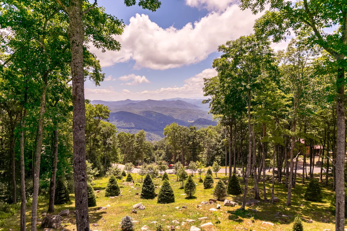 A panoramic view of a lush mountain range, with green trees in the foreground and a cloudy sky overhead. The landscaped area in the scene hints at nearby hiking trails and a pristine natural environment perfect for outdoor exploration.